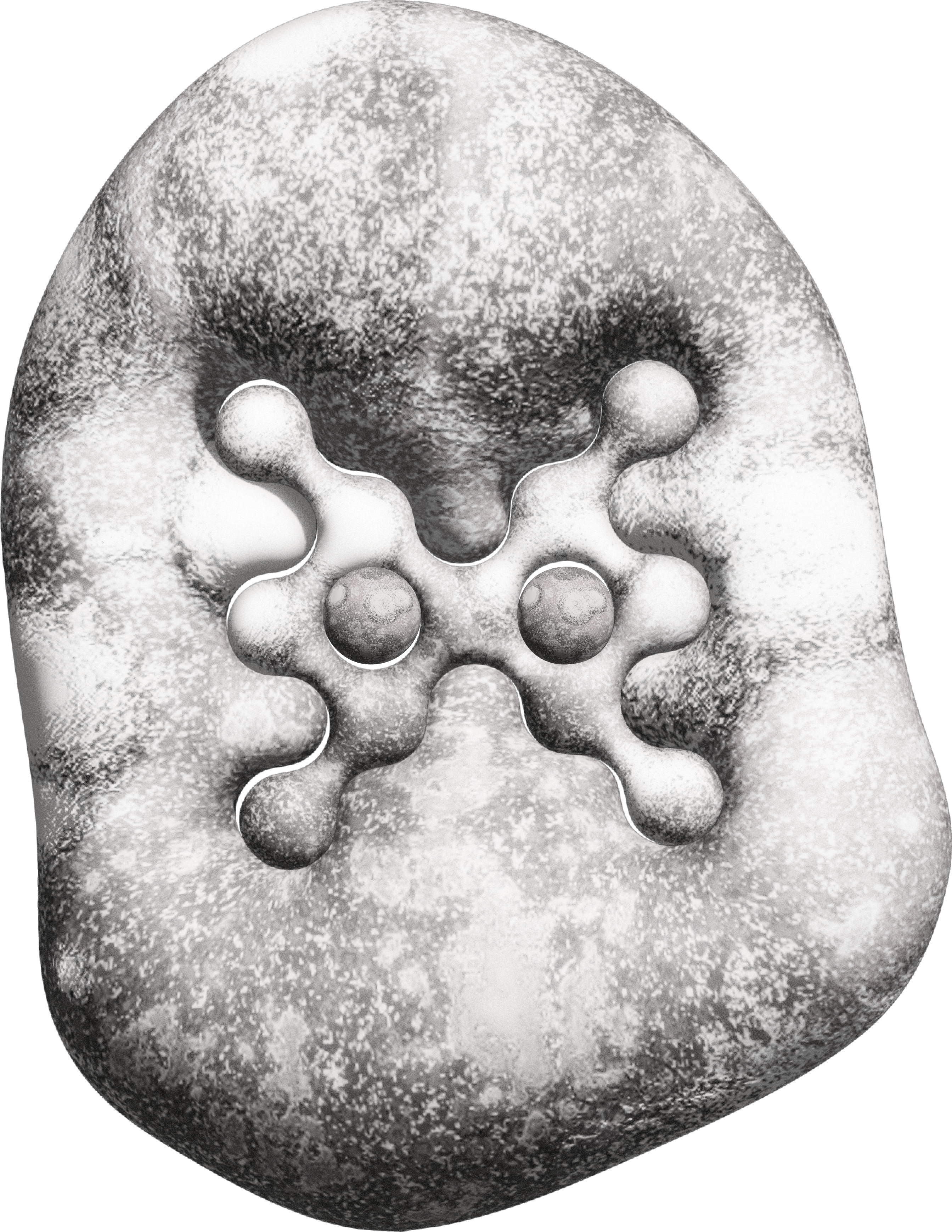 a fossil